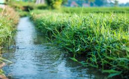 WassKli: Neue Strategien für die effiziente Wassernutzung in der Landwirtschaft