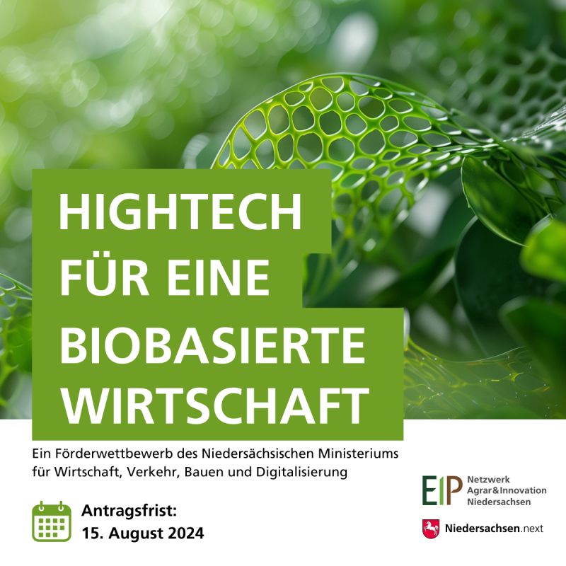 Förderwettbewerb: Hightech für eine biobasierte Wirtschaft in Niedersachsen